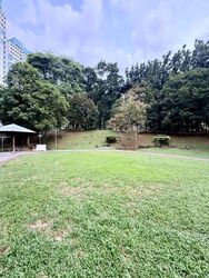 Blk 542 Panshan Grove (Bukit Panjang), HDB Executive #627491121